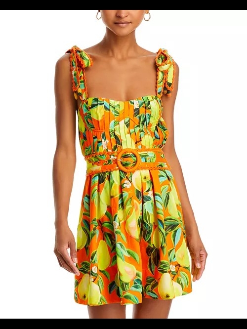 Nwt Farm Rio Orange Chic Pears Mini Dress Size Medium